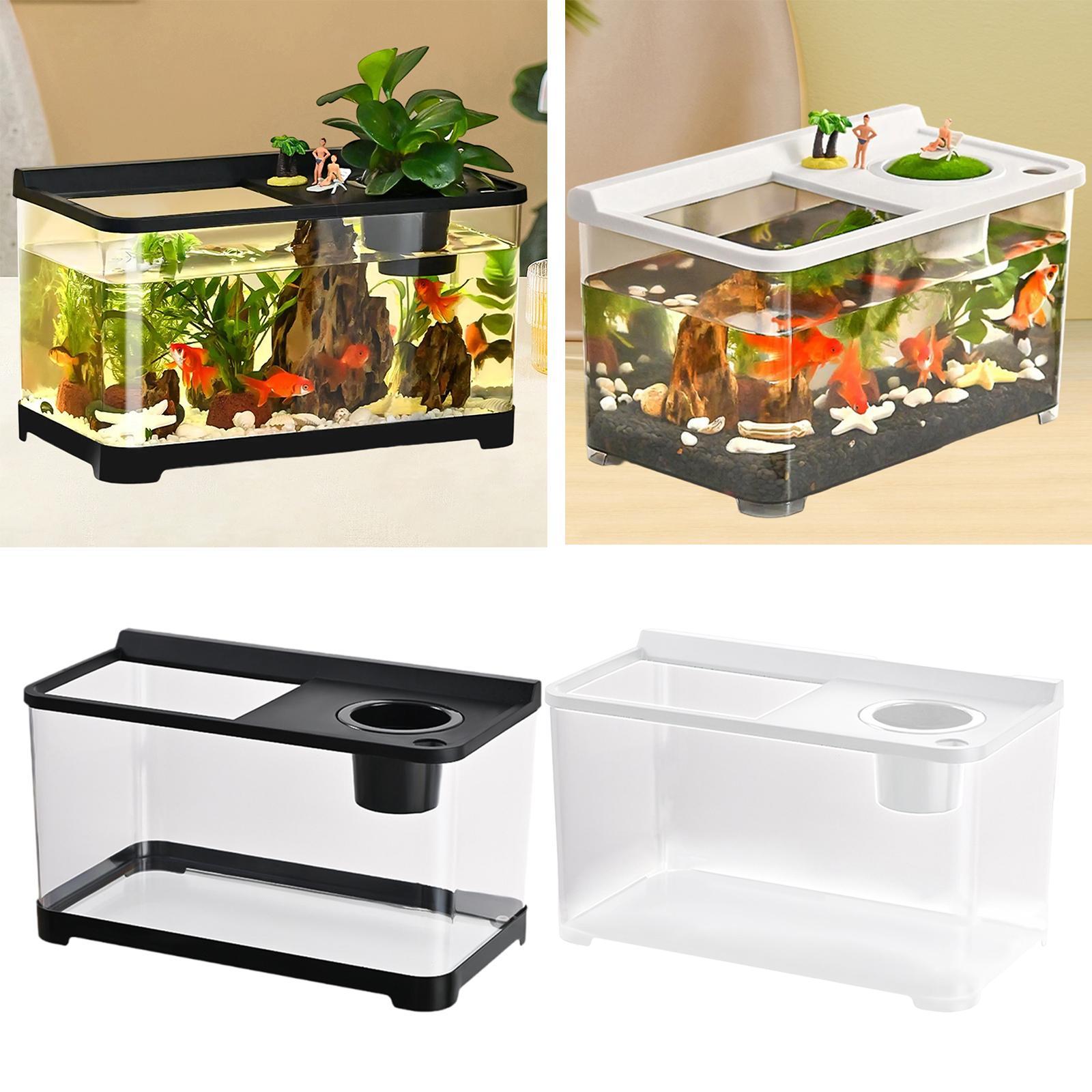 بيتا خزان الأسماك 34x21x20 سنت - مراجعة Betta Fish Tank وسعره