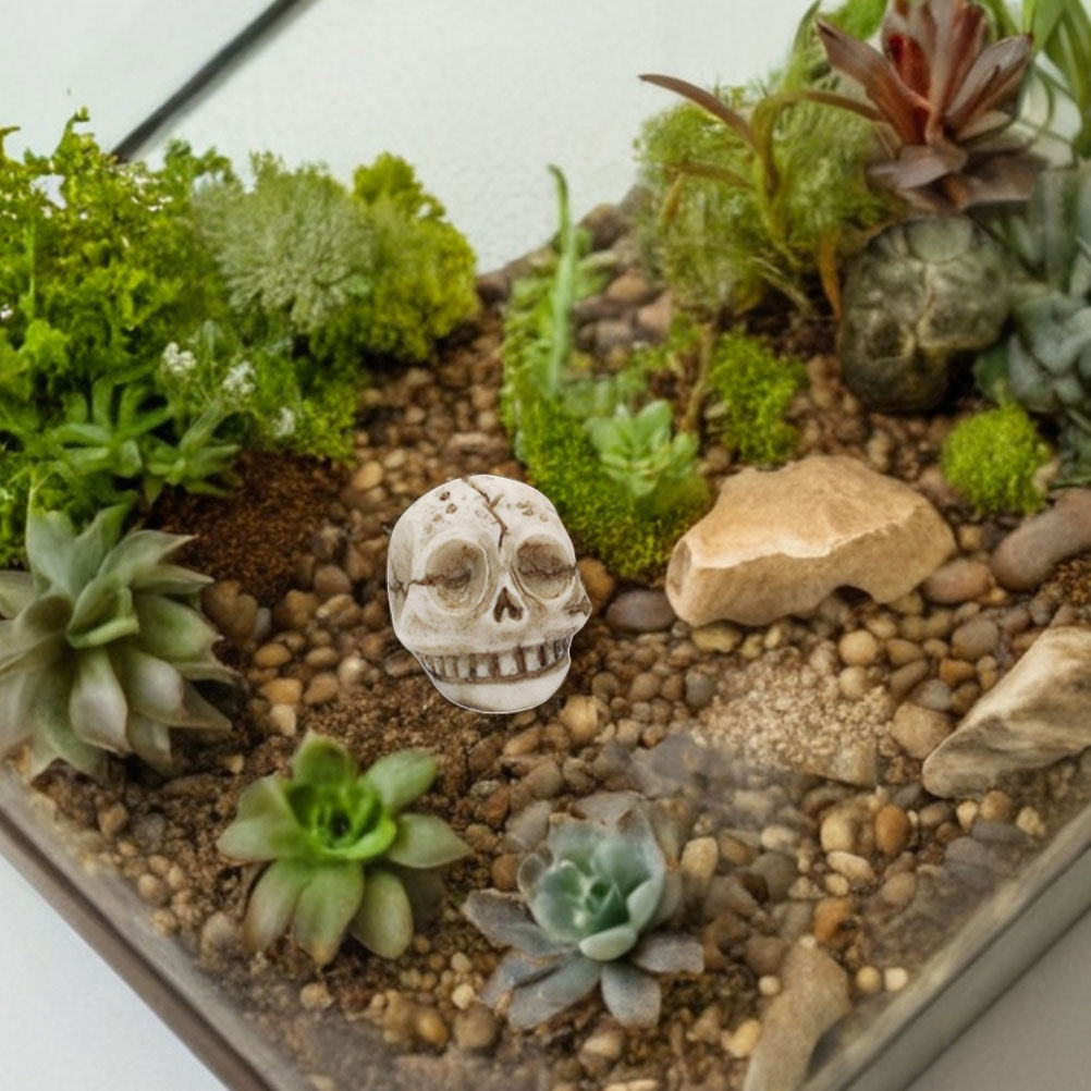 20 قطعة من تماثيل الجماجم المب - مراجعة Aquarium Decor وسعره