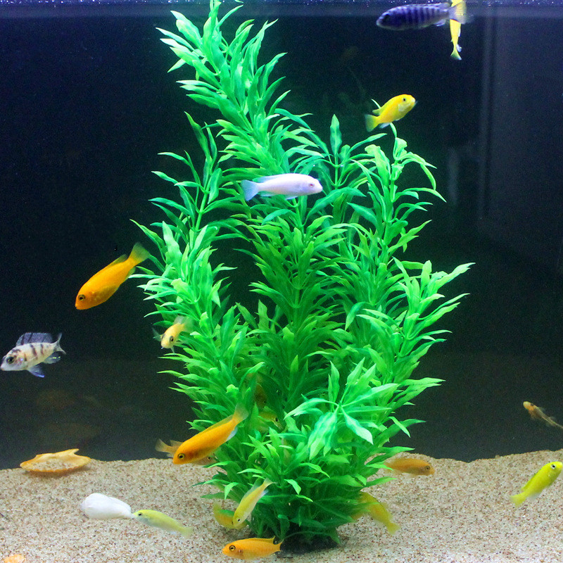 نباتات اصطناعية نادرة لأحواض ا - مراجعة Fish Aquarium Home وسعره
