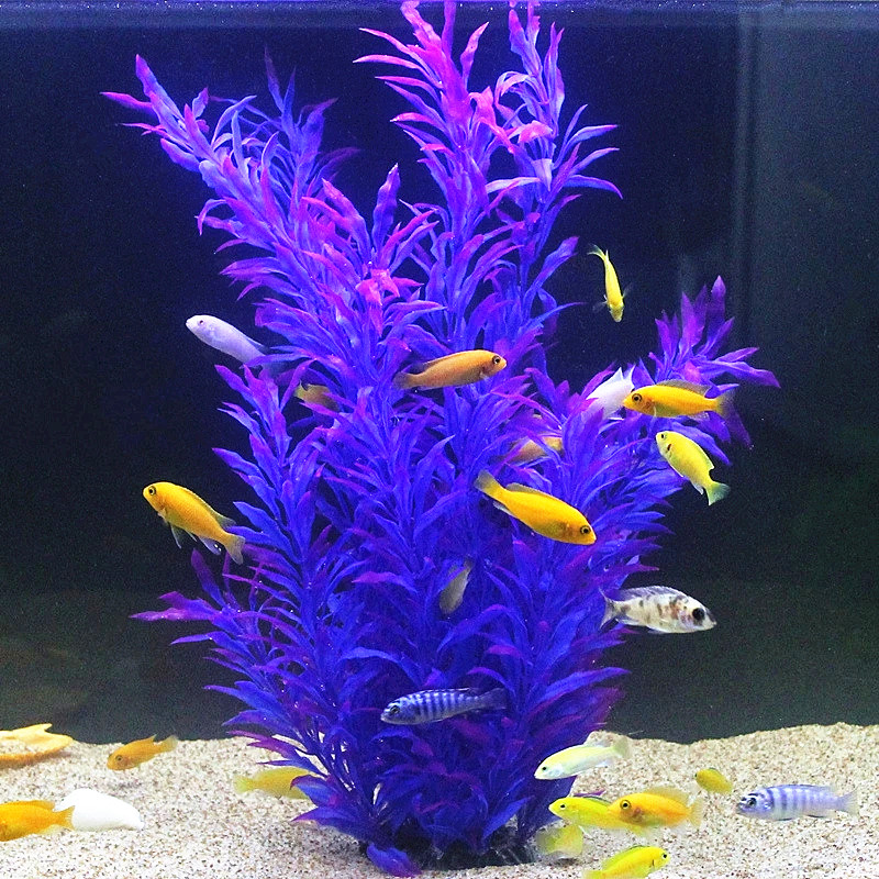 نباتات اصطناعية نادرة لأحواض ا - مراجعة Fish Aquarium Home وسعره