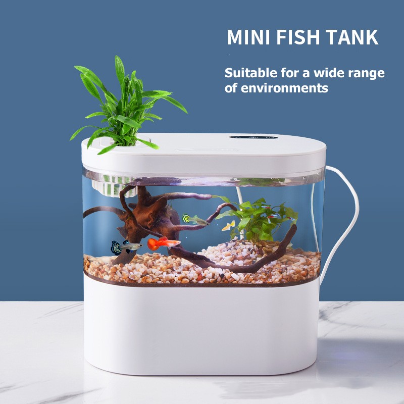 حوض سمك مكتبي صغير مبتكر مع نظ - مراجعة Betta Fish Tank وسعره