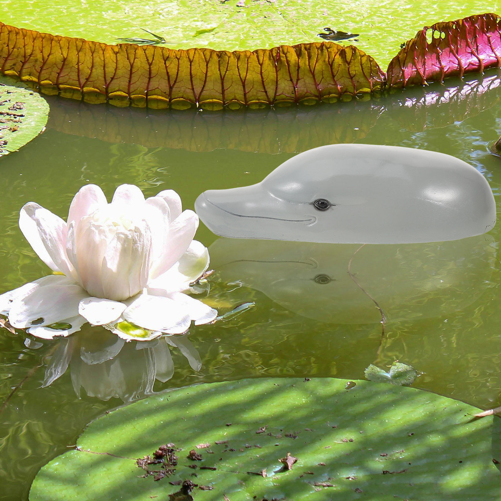 زينة رأس الدلفين الفاخرة المصن - مراجعة Aquarium Decor وسعره