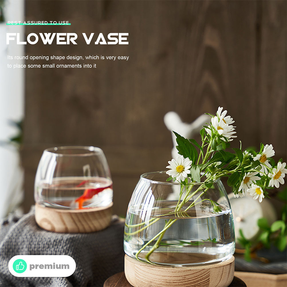 مجموعة واحدة من تيراريوم زجاجي - مراجعة Aquarium Plants وسعره